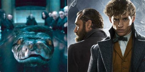 Fantastic Beasts 2 will Feature Nagini in Human Form as a Major Character!