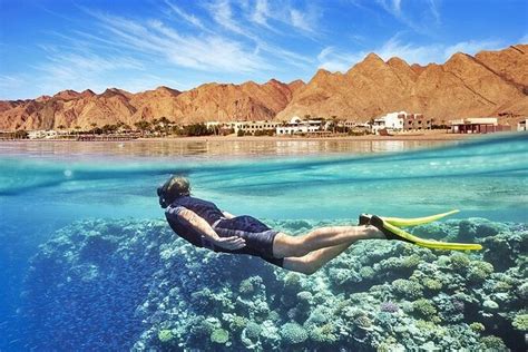 Canyon e Blue Hole Snorkeling Trip con pranzo da Sharm el Sheikh - 2023 - Viator