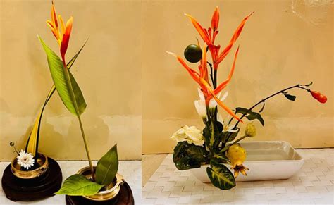 Ikebana Ohara School Azadi Ka Amrit Mahotsav With Mini Exhibition - Sakshi