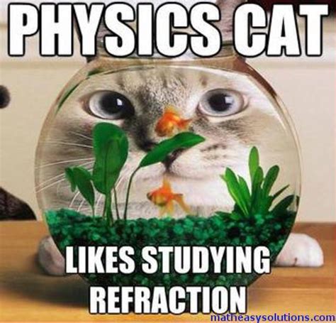 Physics cat likes refraction | Memes | Math Easy Solutions