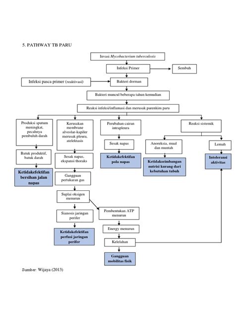 Pathway TB Paru | PDF