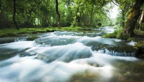 Definition of an Aquatic Ecosystem | Sciencing