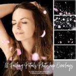 16 Falling Petals PNG Photoshop Overlays - FreeGFX4u