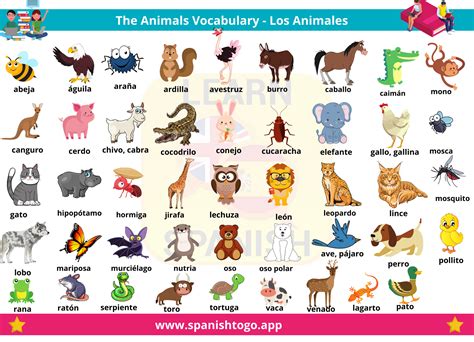 Learn how to pronounce the animals in Spanish 🐣🐱🐷🐄🐎🦄🐗🐗https://www ...