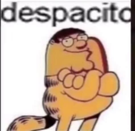 Peter Garfield Despacito | Despacito | Know Your Meme