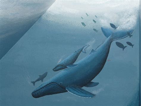 Humpback whale painting by Tinytoni1990 on DeviantArt