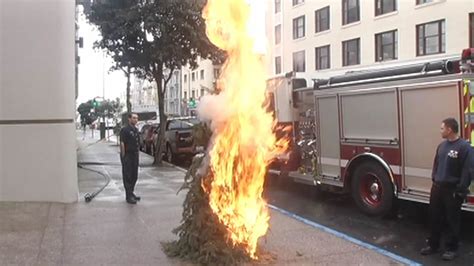 San Francisco firefighters light Christmas tree on fire for safety demonstration - ABC7 San ...