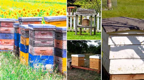 9 Types Of Beehives + Pros & Cons Bee Professor