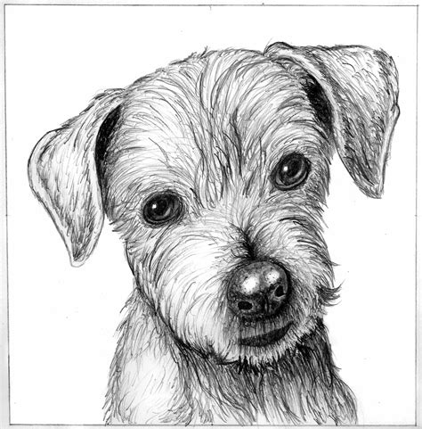 Line Work Drawing Contest (19379), Pictures Page 1 - Pxleyes.com | Dog ...