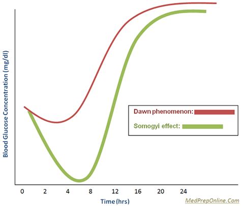 MedPrepOnline: Dawn Phenomenon and Somogyi Effect