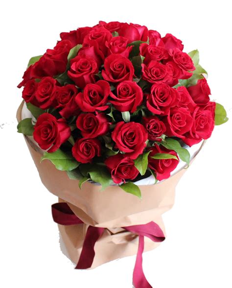 Romantic Red Rose Flowers Images | Best Flower Site