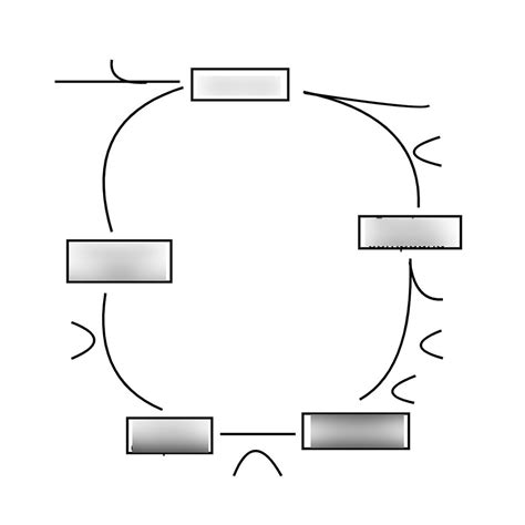 Krebs Cycle Diagram | Quizlet
