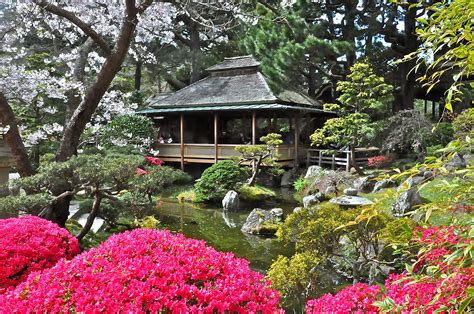 Japanese Tea Garden, Golden Gate Park, San Francisco, CA Had a magical afternoon here. | Tea ...