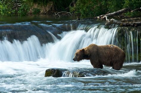 Katmai National Park & Preserve | MowryJournal.com