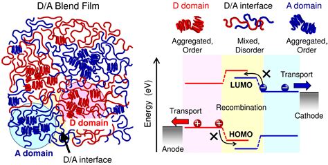 Improved efficiency of all-polymer solar cells