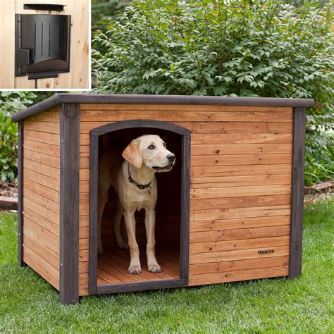 How to Create an Affordable Backyard Oasis for Your Pet - Home Team Yards