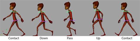 algoMalgo: Animation Study - Walk cycle