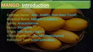 Mango cultivation practices | PPT