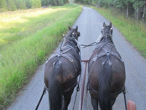 Chuck Wagon Rides