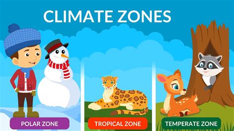 Climate Zones Worksheets