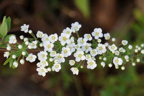 Magic Gardens Reopening In April With Timed Tickets! Recycled Coolness