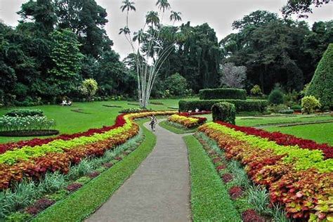 Hakgala Botanical Garden is the second largest garden among the five botanical gardens in Sri ...