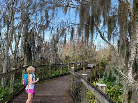 2023 Complete Guide to Hike Florida: 18 Best Hiking Trails In Florida ...