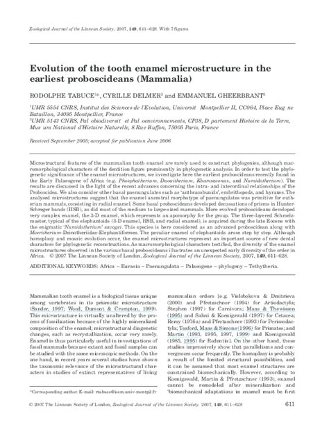 (PDF) Evolution of the tooth enamel microstructure in the earliest ...