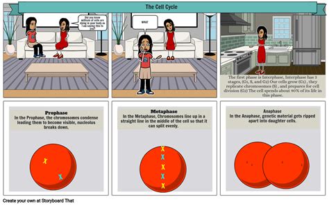 Cell Cycle Cartoon Storyboard by karalynkile