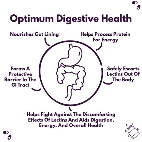 Lectin Defense Powerful Formula For Blocking Harmful Dietary Lectins