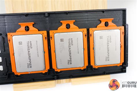 AMD Threadripper Pro 5000 WX-Series: Three CPUs tested! | KitGuru