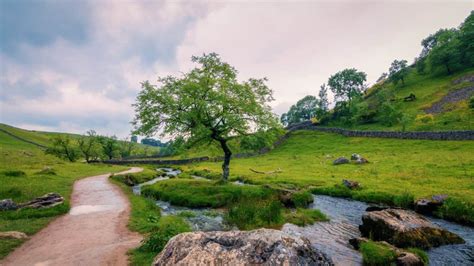 Image libre: ciel, été, paysage, gazon, arbre, nature, eau, plein air