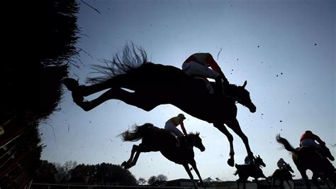 Market Rasen racing tips: Best bets for Thursday, December 7