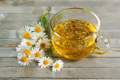 How To Make Chamomile Tea - Tea Totaller Teahouse