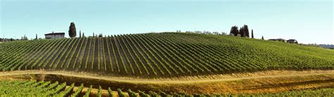 Top 5 Wineries to Visit in Italy | EF Go Ahead Tours (2023)