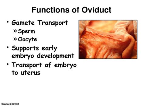 PPT - Animal Science/Dairy Science 434 PowerPoint Presentation, free ...