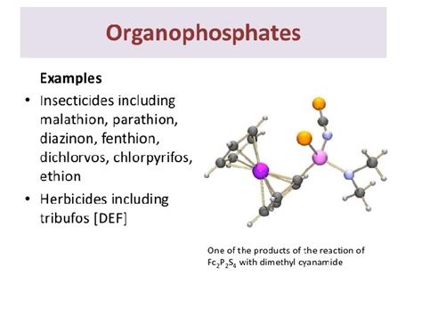 MODE OF ACTION OF ORGANOPHOSPHATES SOURCE THE PPT