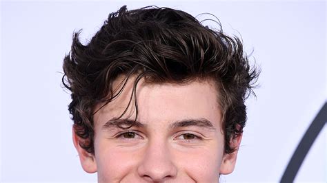 Shawn Mendes's Armpit Sniffed by Swedish Host Martin Björk | Teen Vogue