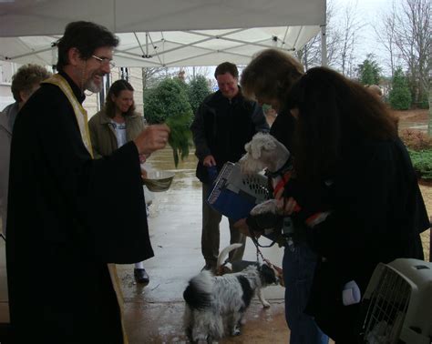 Blessing of the Animals Prayer Ceremony | St Modestus, St Francis