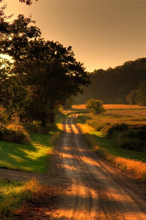 Free Country Road on Summer Evening Stock Photo - FreeImages.com