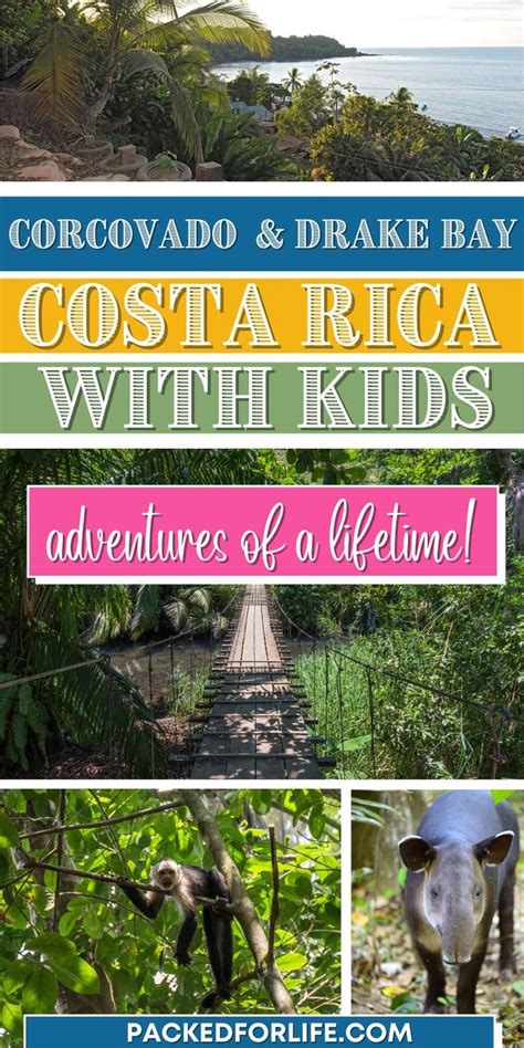 Epic 4 Day Costa Rica Itinerary: Drake Bay & Corcovado | Central america destinations, Costa ...