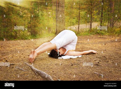 Young woman Yoga plough pose in the forest Stock Photo - Alamy