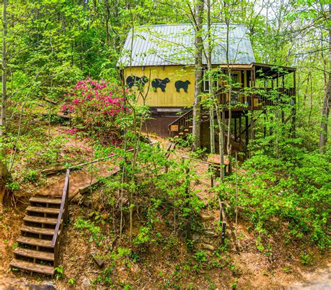 Helen Ga Cabins with a view of the River