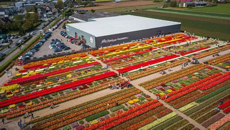 Keukenhof