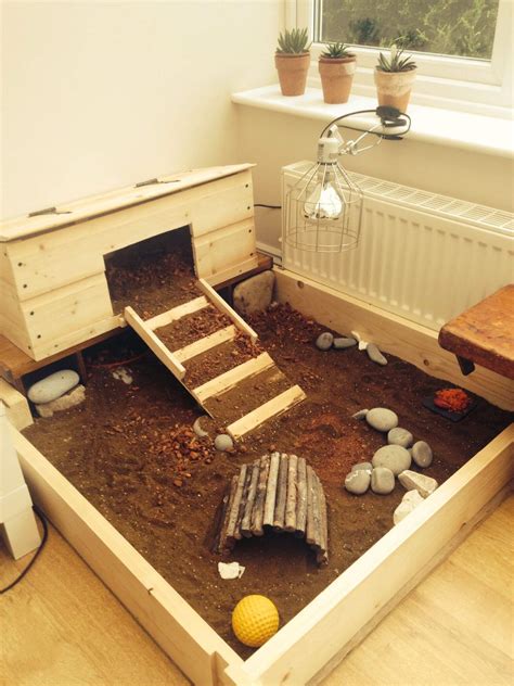 How to Set Up a Tortoise Enclosure: A Step by Step Guide