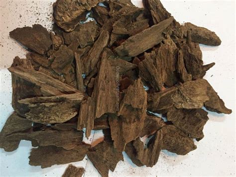 Oud wood or Agarwood - What is it? - OUD WOOD AGARWOOD KINAM