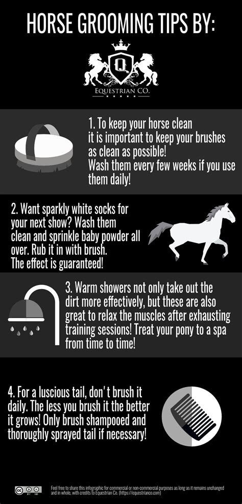 Horse Grooming Tips [Infographic]