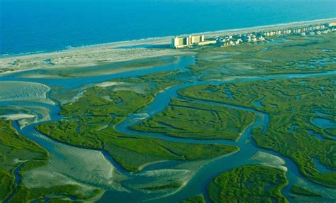 Shell Island Resort (Wrightsville Beach, NC): What to Know BEFORE You ...