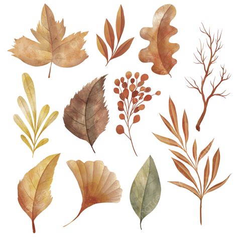 Watercolor Collection Of Autumn Leaves And Tree Branches, Autumn Leaves, Watercolor Autumn ...