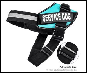 Service Dog Vest, ZOTO Adjustable Dog Harness Vest | Dog vest, Service dogs gear, Service dog vests